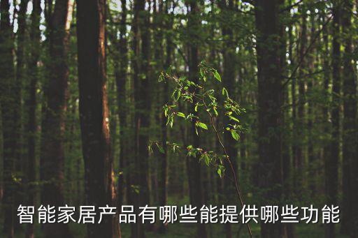 智能家居產品有哪些能提供哪些功能