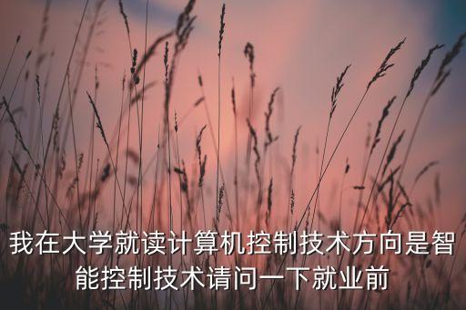我在大學(xué)就讀計(jì)算機(jī)控制技術(shù)方向是智能控制技術(shù)請(qǐng)問一下就業(yè)前