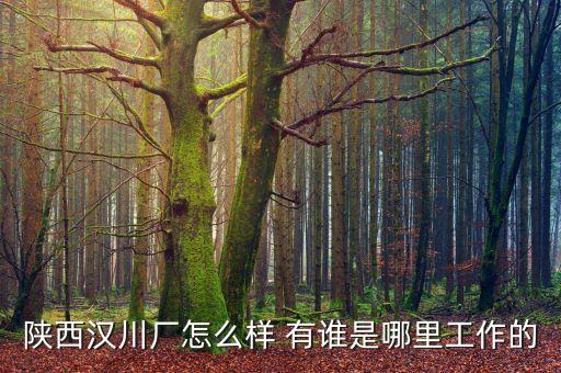 陜西漢川廠怎么樣 有誰是哪里工作的
