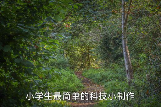 小學(xué)生最簡單的科技小制作