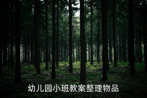幼兒園小班教案整理物品