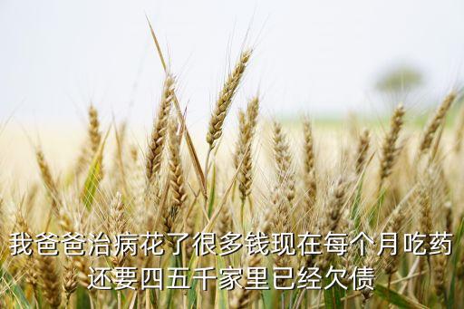 我爸爸治病花了很多錢現(xiàn)在每個月吃藥還要四五千家里已經(jīng)欠債