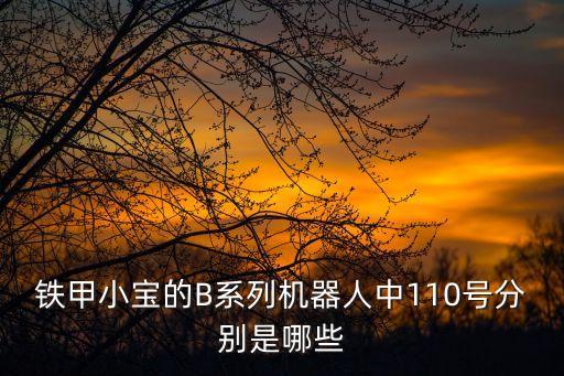 鐵甲小寶的B系列機器人中110號分別是哪些