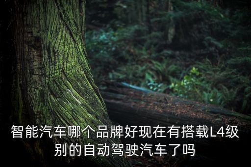 智能汽車哪個(gè)品牌好現(xiàn)在有搭載L4級別的自動(dòng)駕駛汽車了嗎