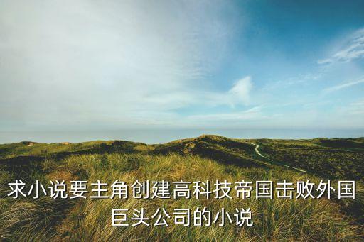求小說要主角創(chuàng)建高科技帝國擊敗外國巨頭公司的小說