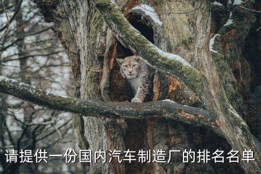 請?zhí)峁┮环輫鴥?nèi)汽車制造廠的排名名單