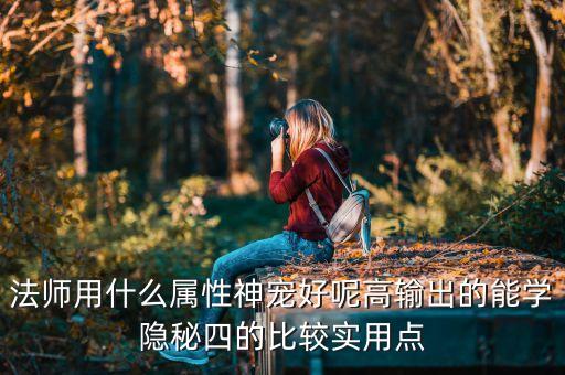 魔法師神器寵物屬性，dnf魔法師寵物寶珠選什么屬性