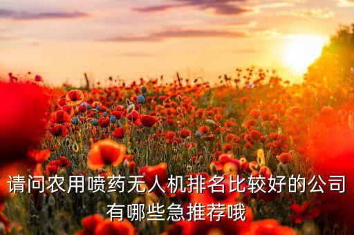 請(qǐng)問(wèn)農(nóng)用噴藥無(wú)人機(jī)排名比較好的公司有哪些急推薦哦