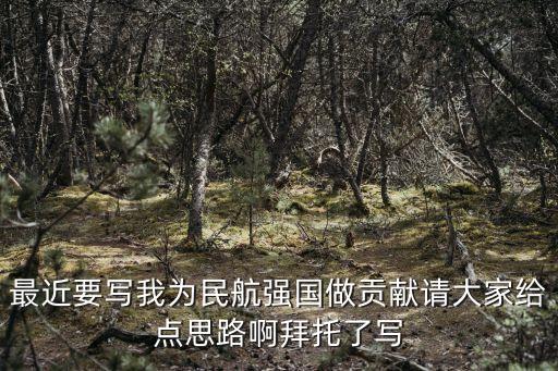 最近要寫我為民航強國做貢獻請大家給點思路啊拜托了寫