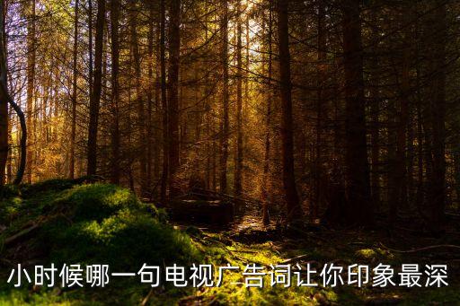 小時(shí)候哪一句電視廣告詞讓你印象最深