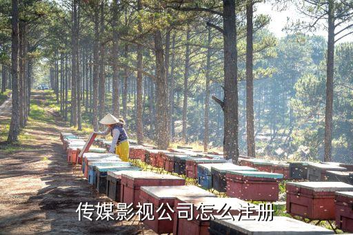 直播傳媒公司怎么注冊，想申請一個(gè)傳媒公司需要的手續(xù)有哪些呢