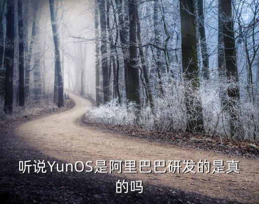 阿里巴巴人工智能實驗室出品，聽說YunOS是阿里巴巴研發(fā)的是真的嗎