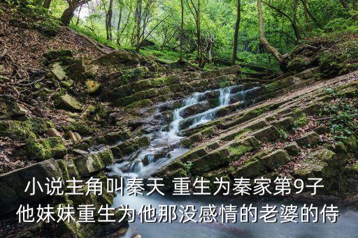 系統(tǒng)送我九個神豪姐姐，一本韓娛小說主角是鄭秀妍姐妹的表哥有一個系統(tǒng)還強化了金剛