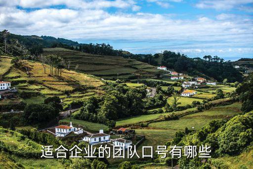 適合企業(yè)的團(tuán)隊(duì)口號(hào)有哪些