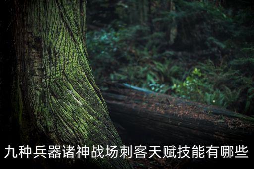 九種兵器諸神戰(zhàn)場刺客天賦技能有哪些