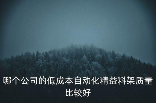 哪個公司的低成本自動化精益料架質(zhì)量比較好