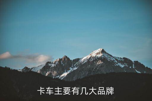 中國(guó)自動(dòng)駕駛卡車(chē)品牌，中國(guó)最好的輕卡是什么品牌