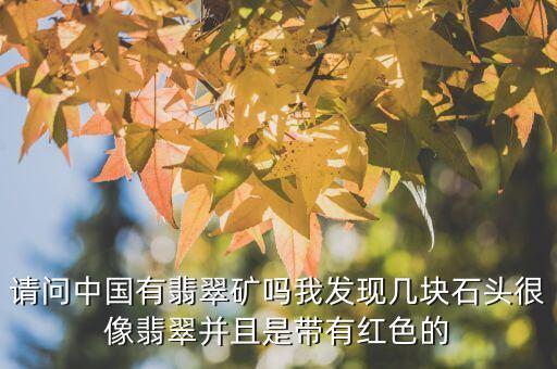 請(qǐng)問中國(guó)有翡翠礦嗎我發(fā)現(xiàn)幾塊石頭很像翡翠并且是帶有紅色的