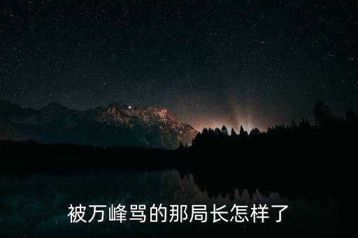 被萬峰罵的那局長怎樣了