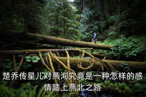 楚喬傳星兒對燕洵究竟是一種怎樣的感情踏上燕北之路