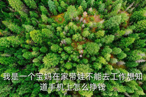 我是一個(gè)寶媽在家?guī)薏荒苋スぷ飨胫朗謾C(jī)上怎么掙錢