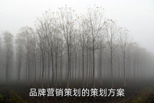 品牌營銷策劃的策劃方案