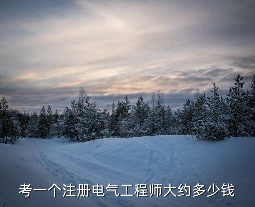 電氣工程師證怎么考取需要多少錢，考一個(gè)注冊(cè)電氣工程師大約多少錢