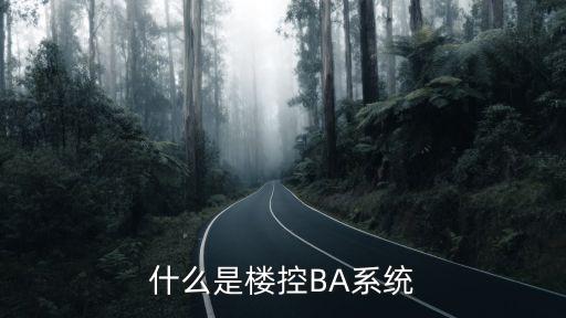 樓宇自控ba系統(tǒng)，樓宇自控BA系統(tǒng)是什么東西呀
