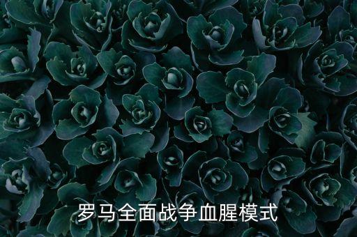 羅馬全面戰(zhàn)爭血腥模式