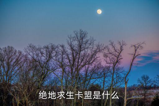 PUBG卡盟，絕地求生卡盟哪個靠譜絕地求生輔助卡盟那家便宜