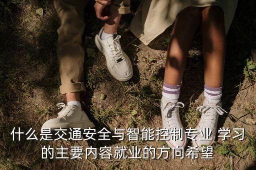 什么是交通安全與智能控制專業(yè) 學(xué)習(xí)的主要內(nèi)容就業(yè)的方向希望