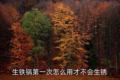 生鐵鍋第一次處理方法，第一次用生鐵鍋要做哪些處理