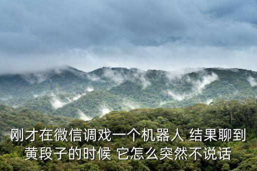 剛才在微信調(diào)戲一個機器人 結(jié)果聊到黃段子的時候 它怎么突然不說話