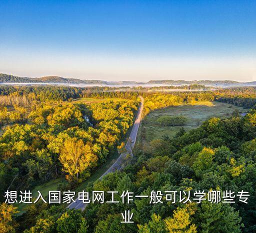 想進入國家電網(wǎng)工作一般可以學哪些專業(yè)