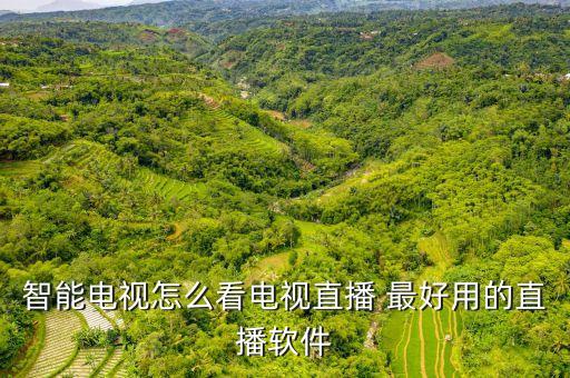 智能直播，智能電視直播軟件哪個(gè)好用