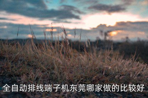 東莞市元一自動化設(shè)備有限公司，全自動排線端子機東莞哪家做的比較好