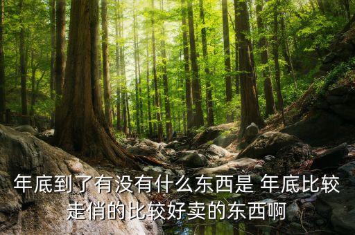 2022年什么產(chǎn)品好賣(mài)，年底到了有沒(méi)有什么東西是 年底比較走俏的比較好賣(mài)的東西啊