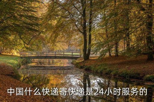 中國什么快遞寄快遞是24小時(shí)服務(wù)的