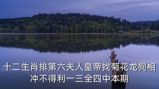 第五輪電氣學(xué)科評(píng)估預(yù)測(cè)，十二生肖排第六夫人皇帝找菊花龍狗相沖不得利一三全四中本期
