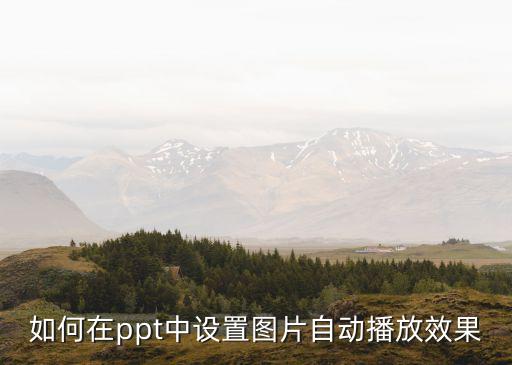 如何在ppt中設(shè)置圖片自動播放效果