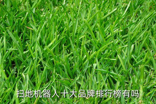 掃地機器人十大品牌排行榜有嗎