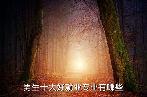男生十大好就業(yè)專業(yè)有哪些
