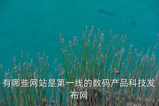 有哪些網(wǎng)站是第一線的數(shù)碼產(chǎn)品科技發(fā)布網(wǎng)