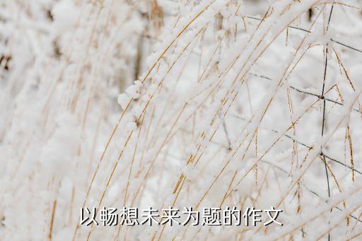 以暢想未來為題的作文