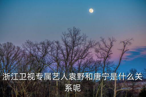 浙江衛(wèi)視專屬藝人袁野和唐寧是什么關(guān)系呢