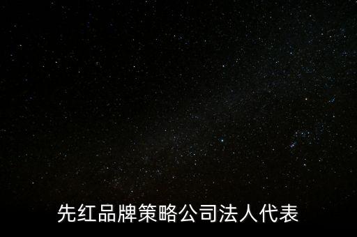 先紅品牌策略公司法人代表
