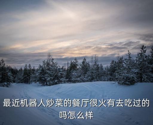最近機(jī)器人炒菜的餐廳很火有去吃過的嗎怎么樣
