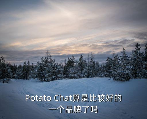 Potato Chat算是比較好的一個品牌了嗎
