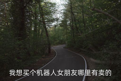我想買個(gè)機(jī)器人女朋友哪里有賣的