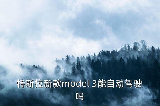 特斯拉自動駕駛單獨買嗎，中國允許特斯拉汽車開自動駕駛嗎
